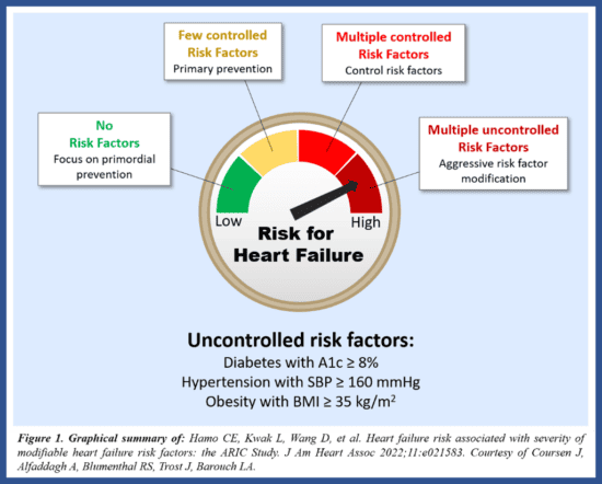 Risk for cardiovascular disease